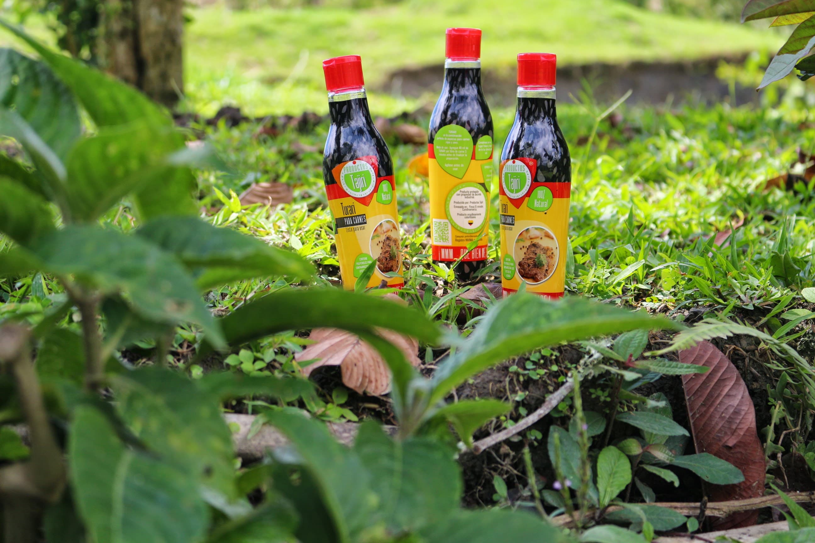 Las primeras victorias de Productos TAJIRI